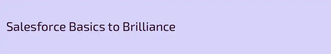 Salesforce Basics to Brilliance